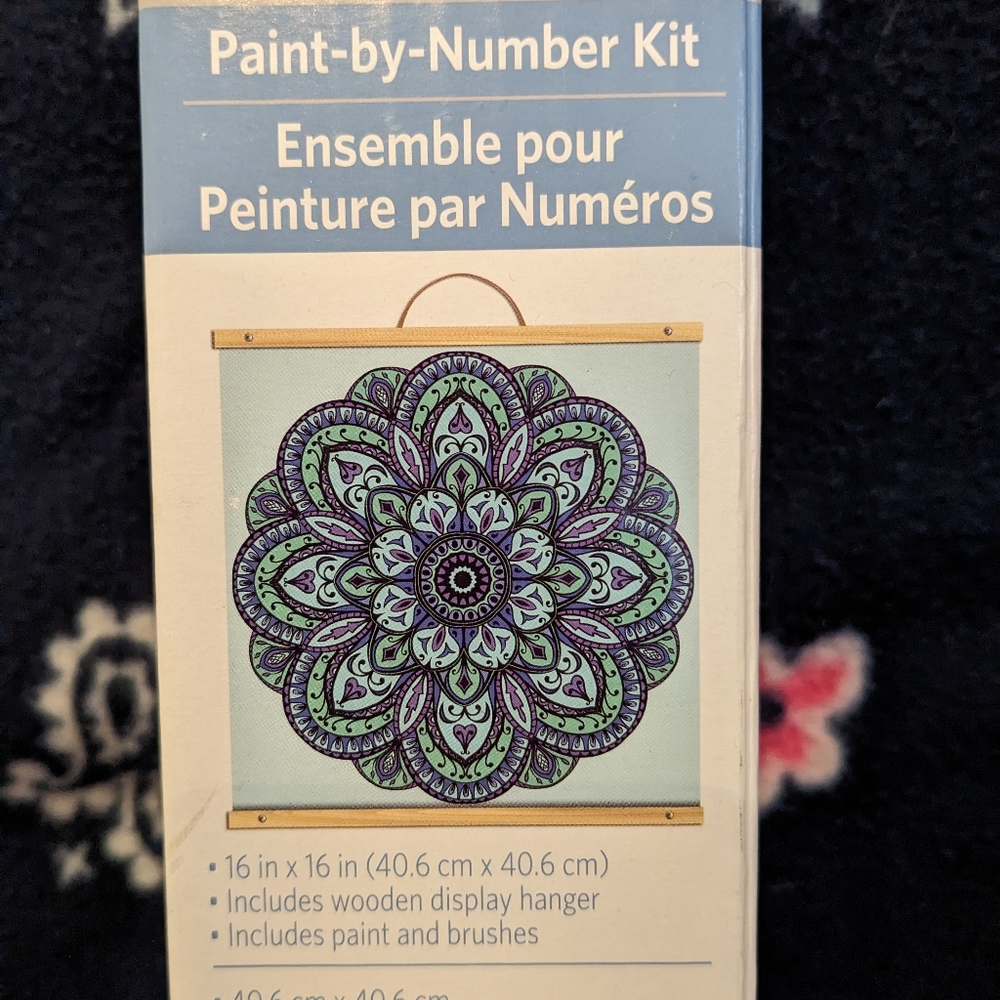 Paint by numbers kit if a Mandela design